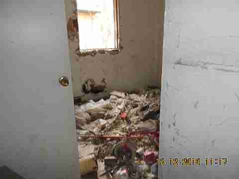 5529 Joy 2nd trip (26)_m.jpg